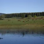 Mit Wellnessbereich In Ferienhaus *