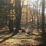 Mit Wellnessbereich In