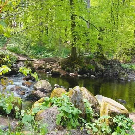Mit Wellnessbereich In 度假居 埃伦德