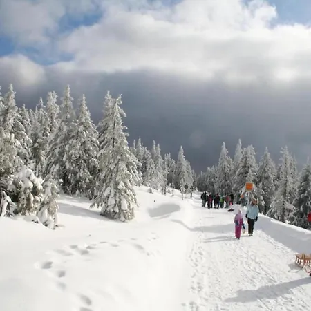 Luxurioeser Wellnessaufenthalt In Tatil Evi