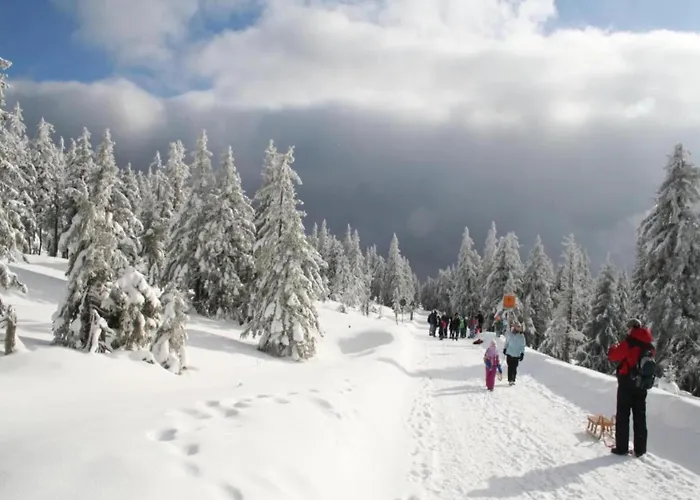 Mit Wellnessbereich In 度假居