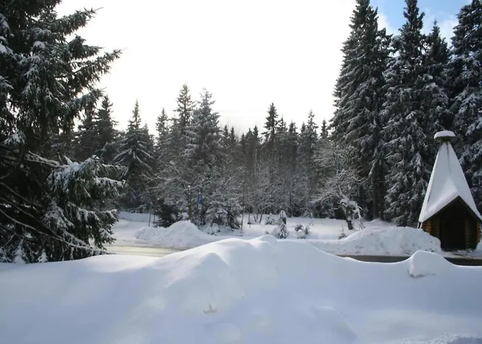 度假居 Mit Wellnessbereich In