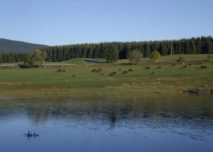 Mit Wellnessbereich In 度假居 *