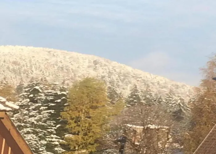 Mit Wellnessbereich In * 埃伦德