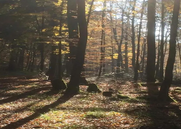 Mit Wellnessbereich In