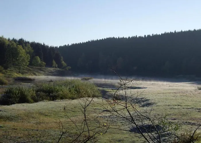 펜션 Mit Wellnessbereich In *